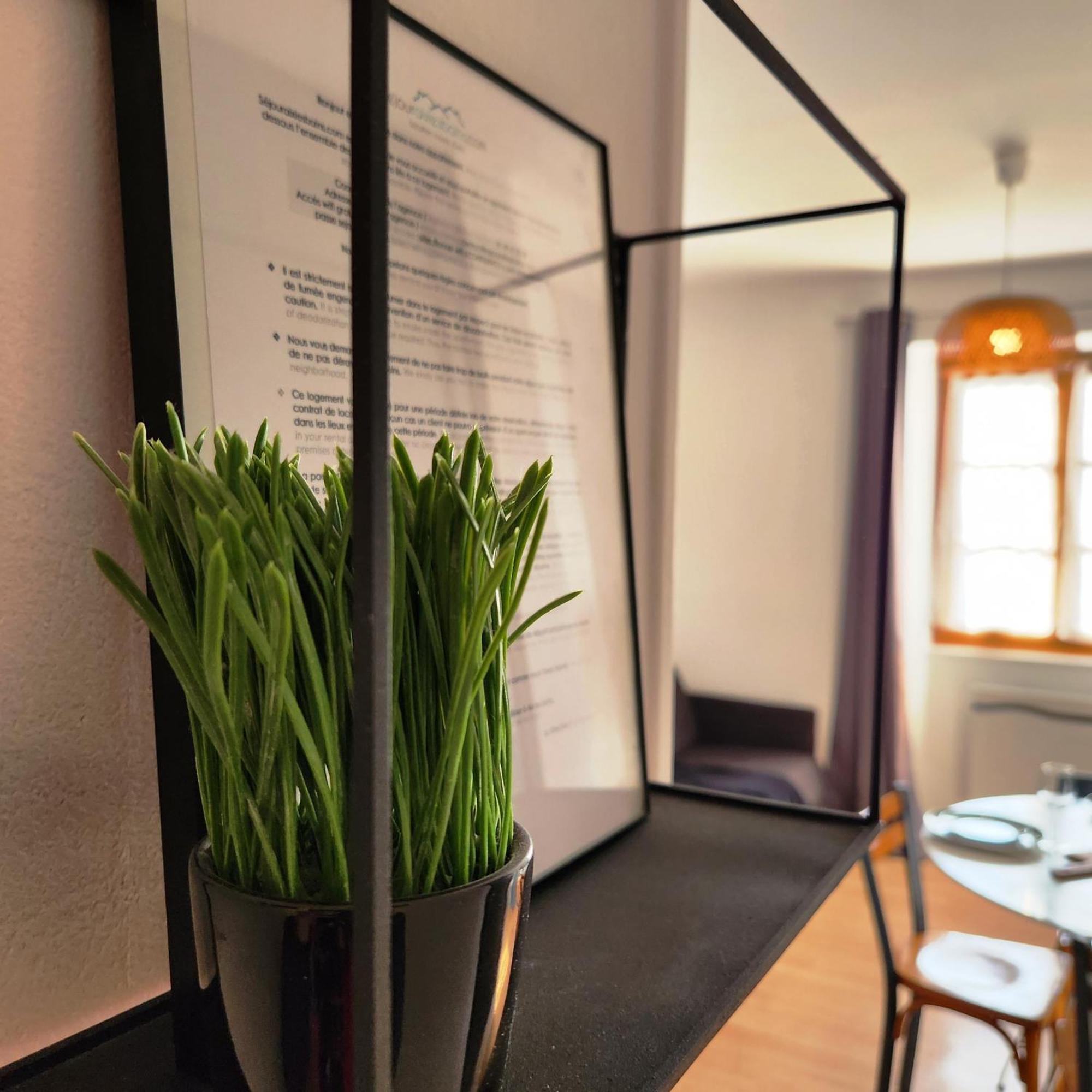 SEJOURAIXLESBAINS - Appartements Confidence hyper centre calme Aix-les-Bains Chambre photo